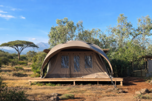 best tent for extreme weather