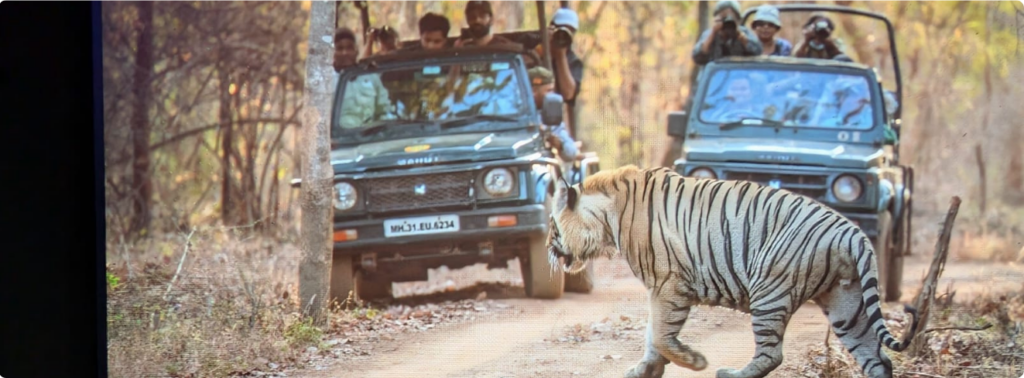 Experience in tourism